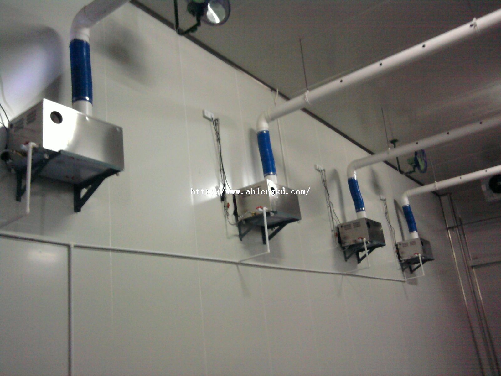 亳州中德農業大型蔬菜保鮮冷庫安